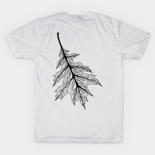 Veined leaf T-Shirt